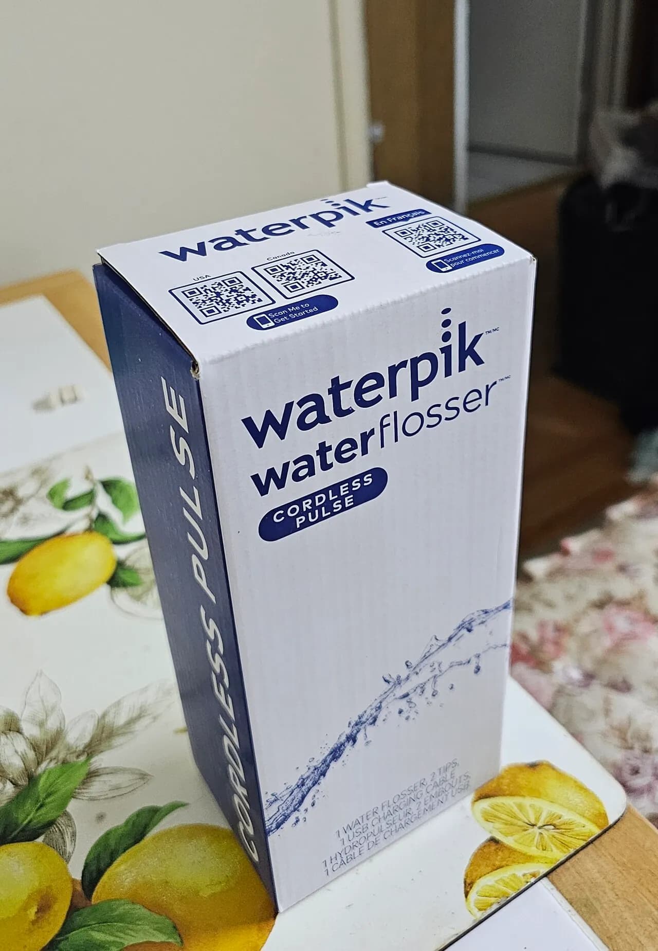 waterpik 무선 구강세정기 + 눈꺼풀 크리너 +
					운동/건강
					위디어
