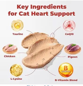 아마존 제품 무료
					무료나눔
					미국