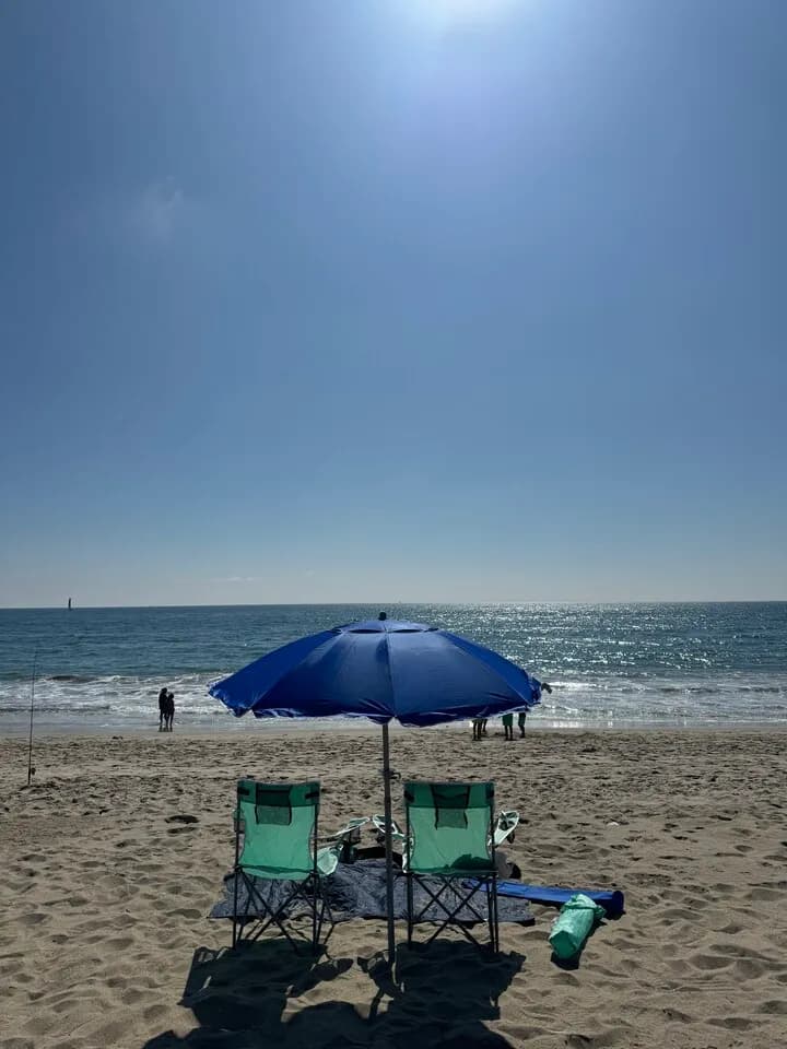 Beach Umbrella & 2 of beach chairs 비치 파라솔과 비치용 의자
					무빙세일
					Mid-wilshire, Los Angeles