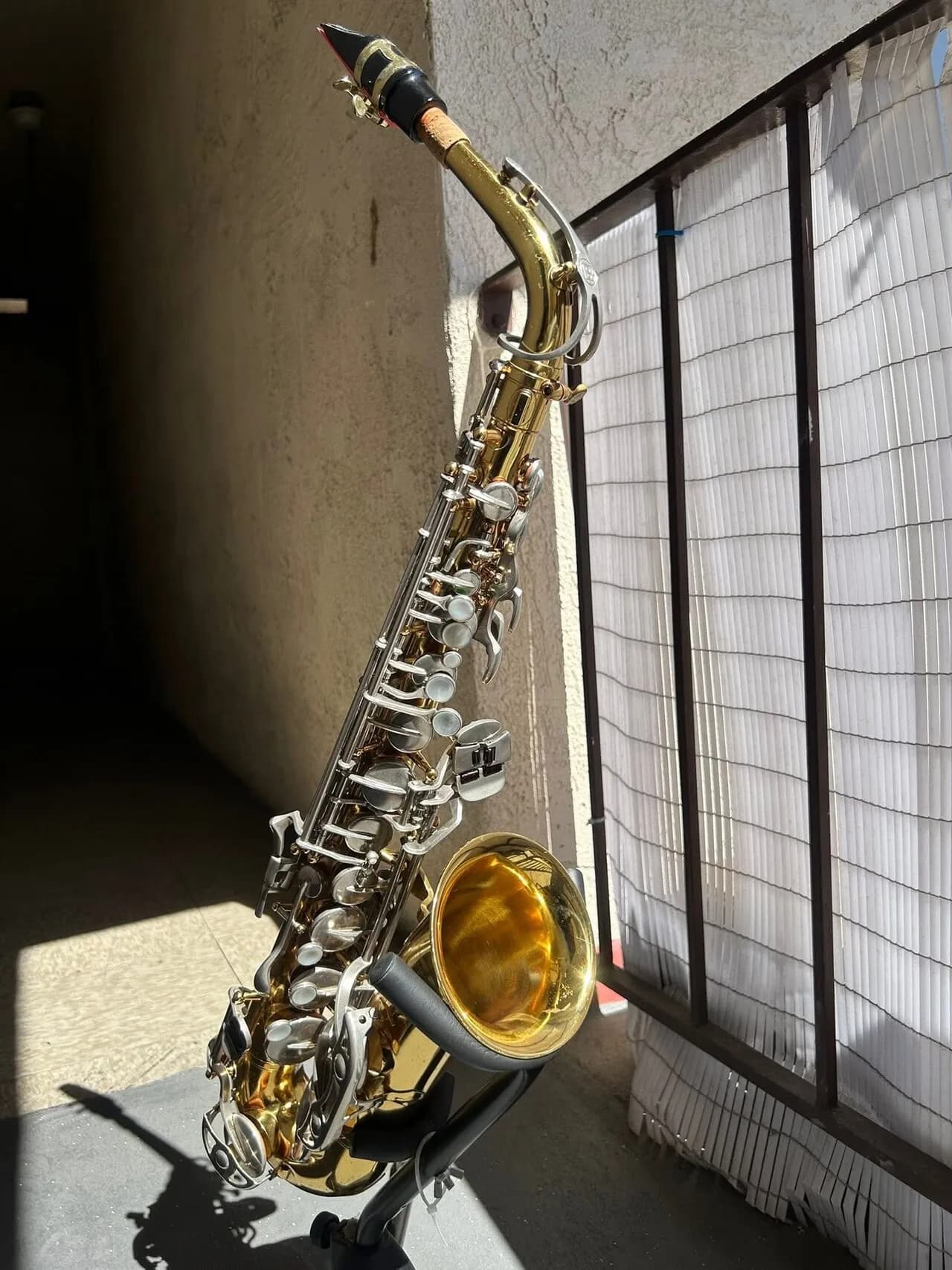 색소폰
					기타
					한인타운