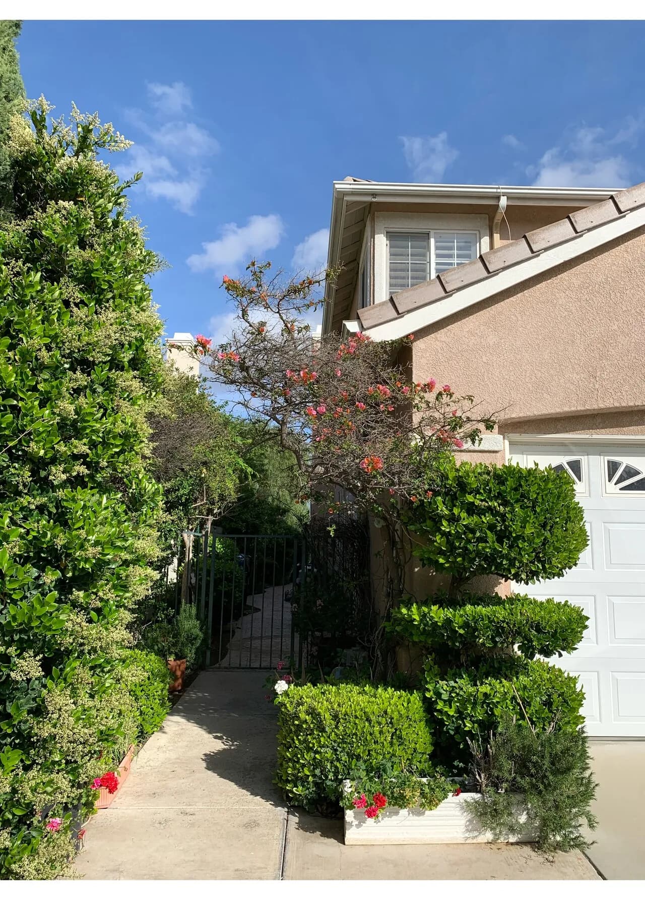 좋은 환경 방렌트 - Stevenson Ranch
					1 Bed
					Santa Clarita's preview 1