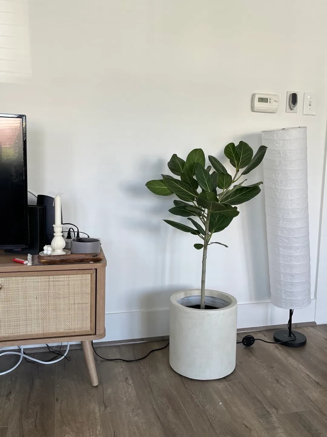 3beds 2baths 룸메이트 구합니다! (유틸리티, 파킹 자리 한 곳 포함)
					룸메이트
					Korea Town's preview 2