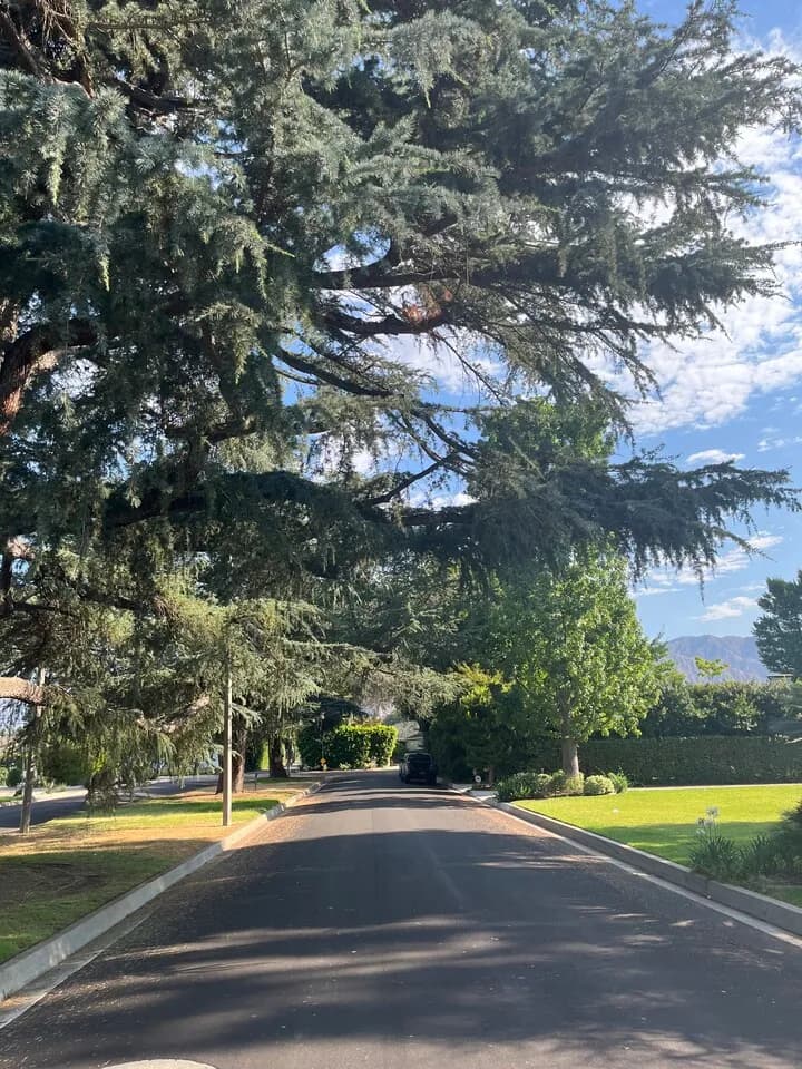 파사데나 남자렌트
					룸메이트
					Pasadena's preview 2