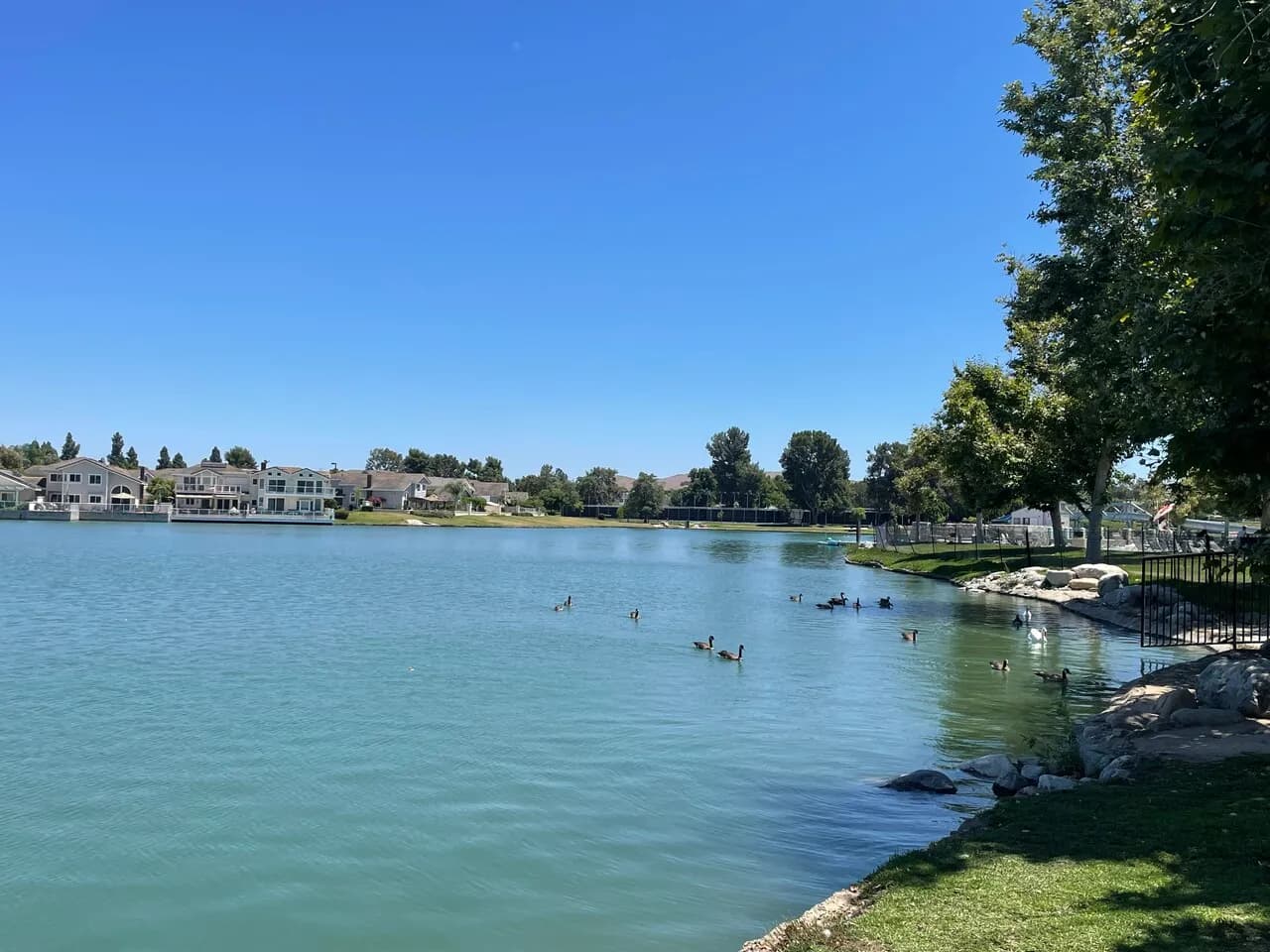 얼바인 Woodbridge 큰 방 렌트 (호숫가 근처)
					룸메이트
					Irvine's preview 0