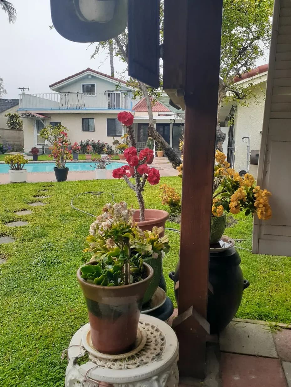 Downey Room for Rent / 다우니 방 포 랜트
					룸메이트
					Downey's preview 0