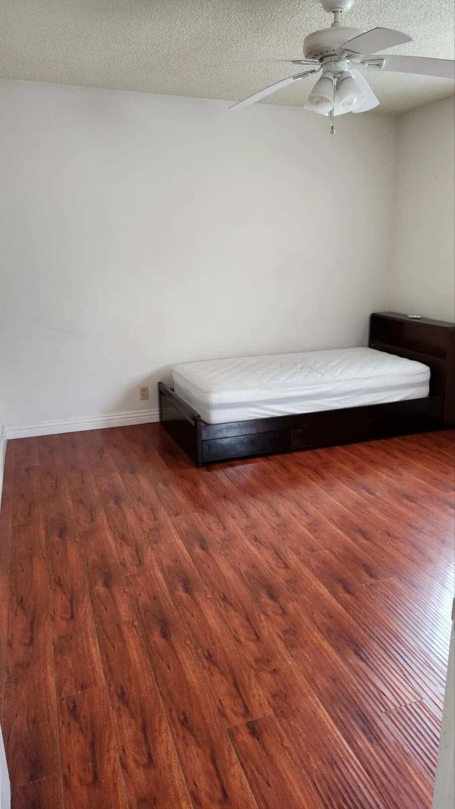 2 bed apt 에서 방 하나 렌트 (1 bed rent ), 여성분 입주 구합니다.
					룸메이트
					Los Angeles's preview 1